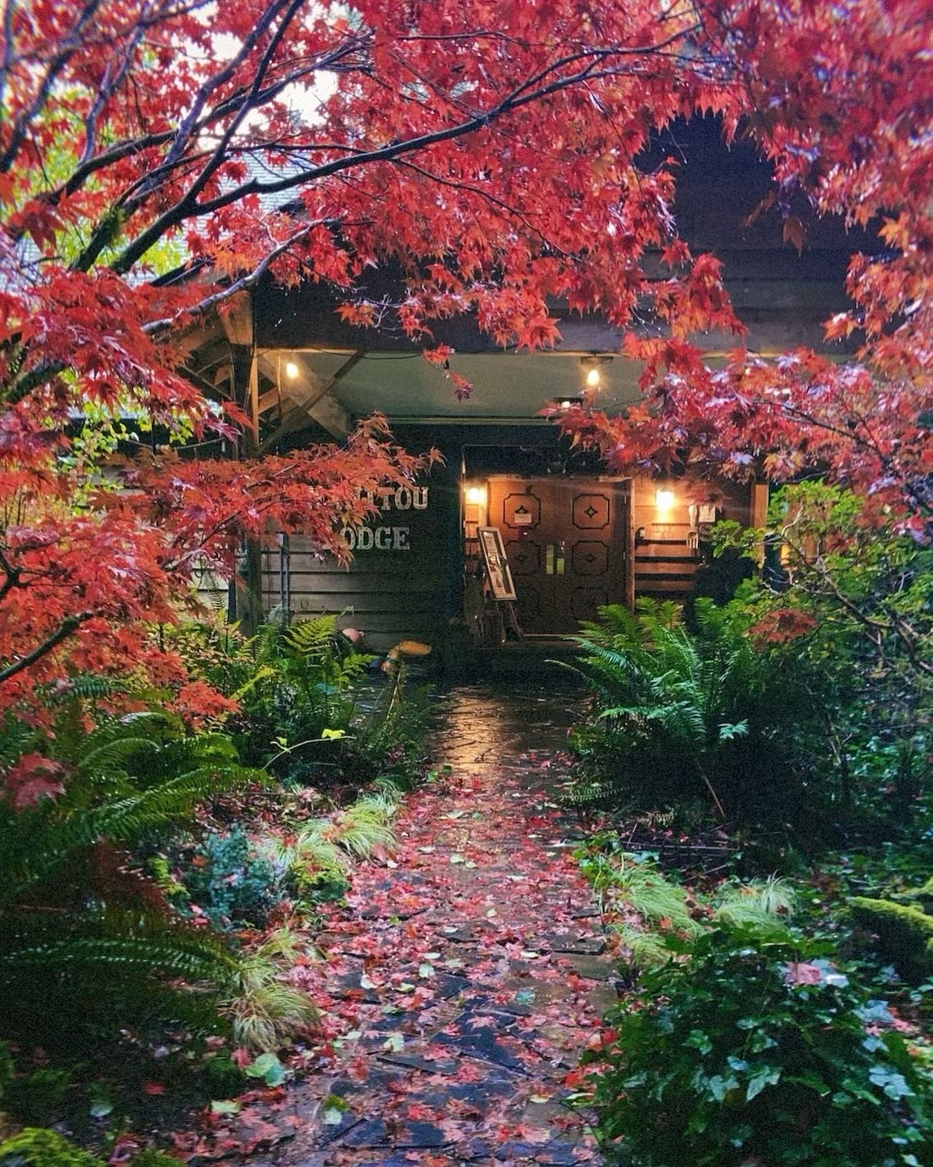 Manitou Lodge on Instagram